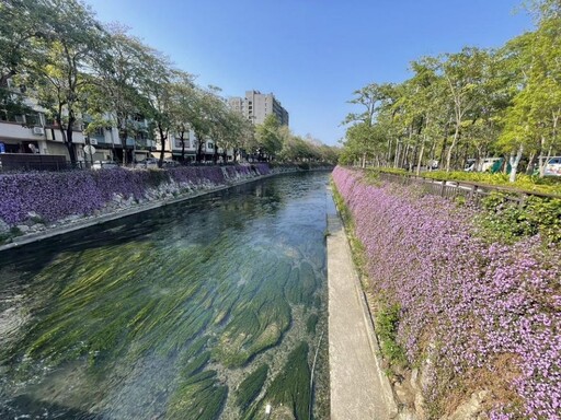 紫色浪漫滿綠川！ 中市水利局邀您共賞春日花海秘境