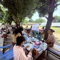 靈鷲山協助緬甸強震重災區義診 啟動重建計畫