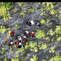 霧台鄉佳暮村迴旋谷附近溪水暴漲 9人受困獲