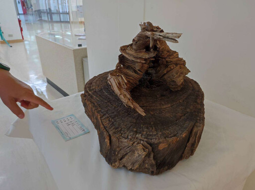 雲林美石協會會員聯展登場 呈現精采石藝魅力