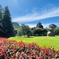 奧萬大31年生日快樂 7月1日至6日入園只要10元優惠