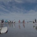 水域安全 海洋文化跨域合作 國海院打造海洋素養行動新典範