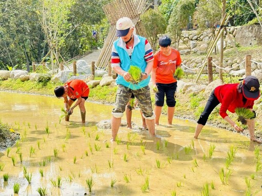南投鹿谷百年「坪仔頂水梯田」永續理念獲建築園冶獎