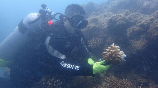 海洋生物復育措施實施辦法 建立制度化復育機制守護臺灣海洋生態