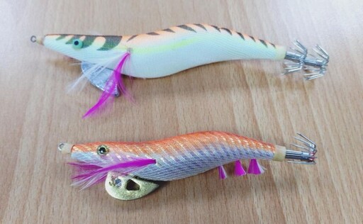 釣魚也能愛海洋!海保署推動「友善釣具」認證制度 力促海廢減量