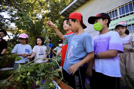 新北力推SDGs 食農教育培養綠金人才