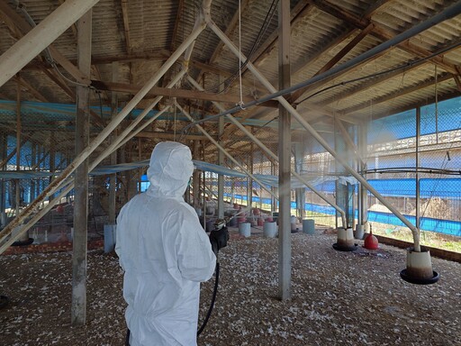 臺南土雞場檢出禽流感 動保處強化監控措施