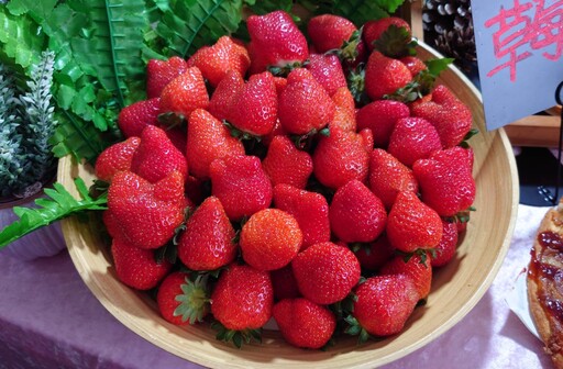 2024內湖草莓季開跑一起前往莓好樂園抽大獎！