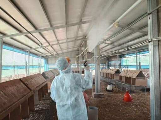 臺南蛋雞場確診禽流感 動保處籲養禽業落實生物安全