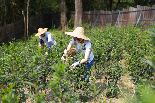 新北全國首家農產品初級加工場獲「溫室氣體查證」國際認證 邁向淨零碳排