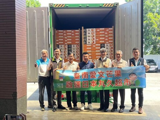 盛夏時節逾10.5公噸臺南愛文芒果輸往日本丸久超市