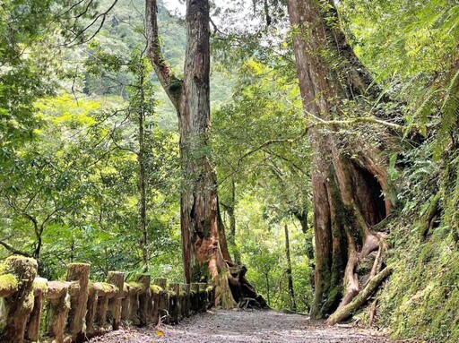 推動森林生態旅遊 林保署新竹分署森林育樂場域徵策略聯盟夥伴