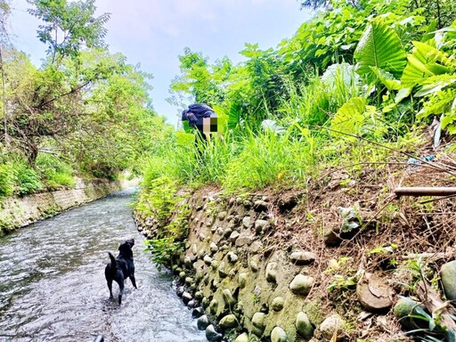 毛英雄再建功! 竹市搜救犬Clay尋獲走失老婦