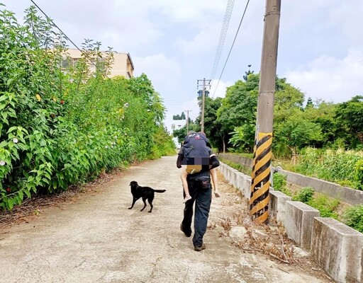 毛英雄再建功! 竹市搜救犬Clay尋獲走失老婦