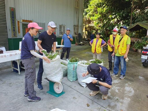 公私協力除蔓趣! 「綠癌」變綠金保護生態又吸金