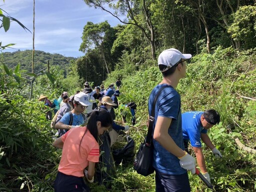 林業署新竹分署x三洽水環境教育中心 清除「綠癌」小花蔓澤蘭