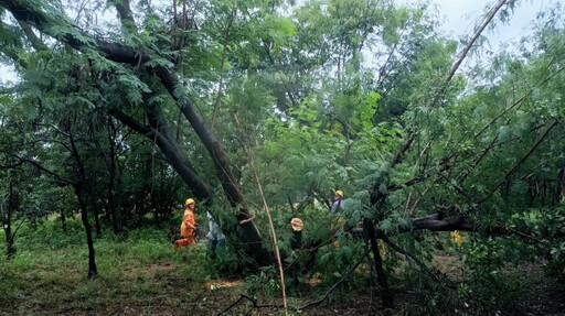 山陀兒颱恐登陸嘉南高 台電台南區處全力戒備防颱 避免災害