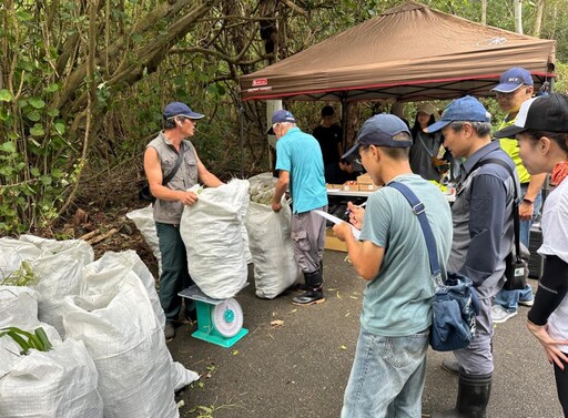 維護紫斑蝶重要棲息地 公私攜手移除生態殺手-小花蔓澤蘭