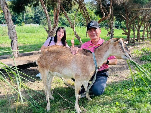 救國團助龍崎教養院生圓夢 賞觀護盃壘球賽 與鹿共舞梵音療癒