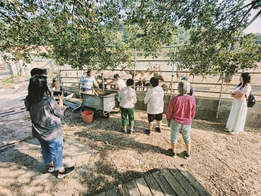 救國團助龍崎教養院生圓夢 賞觀護盃壘球賽 與鹿共舞梵音療癒