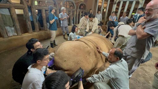 促進國際動物交流增進動物福祉 六福村成為東南亞SEAZA協會正式會員