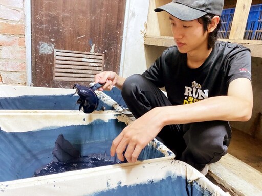 從藍染學徒到藝術大學 桃竹苗分署「青領計畫」助青年賺到學經歷!