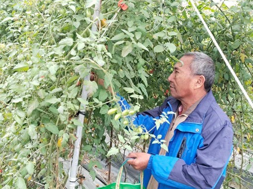 屏東榮家微旅行 住民拔蘿蔔體驗農村趣