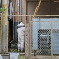 桃園農業局將採購「救命筆」 提升捕蜂捉蛇大隊執勤安全