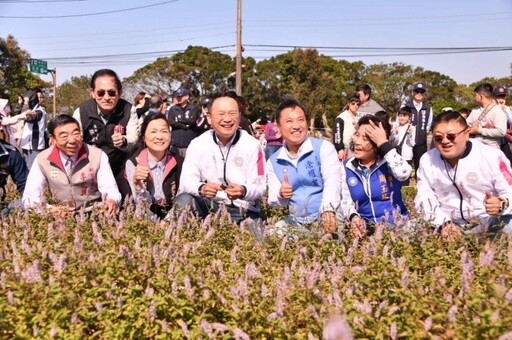 桃園仙草嘉年華熱鬧登場 蘇俊賓讚花海美如普羅旺斯