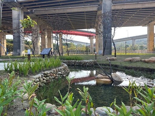 平鎮運動公園打造特色遊戲場 亮點一次看