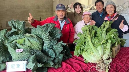 楊梅農民節大會登場 巨型芥菜、高麗菜超吸睛