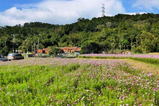 蛇年走春趣！盤點桃園各大休閒農業區 享受山與海的熱情呼喚