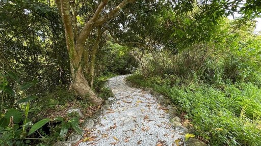 桃園復興溪口部落 新溪口吊橋串聯山林美景 體驗原住民風情