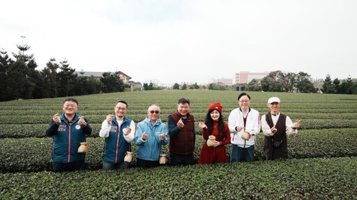 張善政走訪客家茶文化館 體驗採摘沖泡推廣在地特色