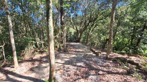 桃園秘境之旅 高遶溪古圳步道探索大自然與泰雅歷史