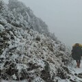 寒流來襲高山有望降雪 玉管處籲登山賞雪做好萬全準備