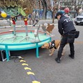 桃園警犬隊出動了！執行防爆安檢 守護台灣燈會治安