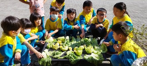 傳承本土文化！龍岡國小學子親手作鹹菜 學習客家智慧