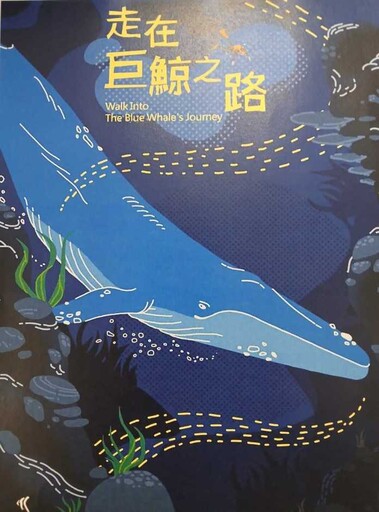 近距離賞鯨！海生館限定特展帶你探索鯨豚奧秘