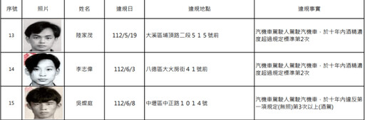 罰不怕！桃園酒駕累犯再添15人 姓名、照片曝光