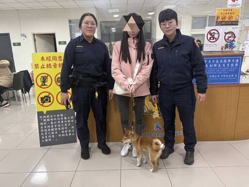 柴犬逛燈會太興奮走失 桃警助尋找飼主