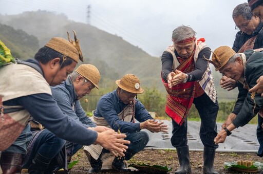 復興區小米播種祭登場 百人撒下種子傳承泰雅文化