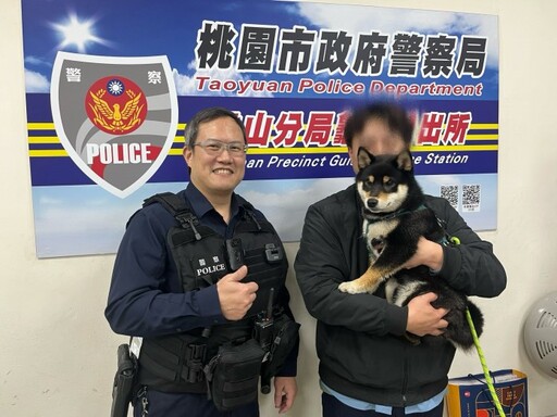 好動黑柴趁隙溜出門 龜山警鷹眼發現牠蹤影