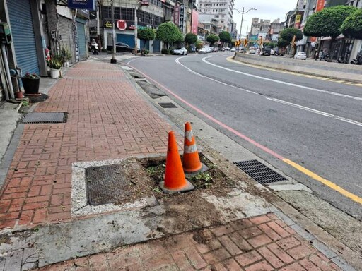 中壢環北路自撞路樹意外 59歲駕駛與乘客腦震盪送醫