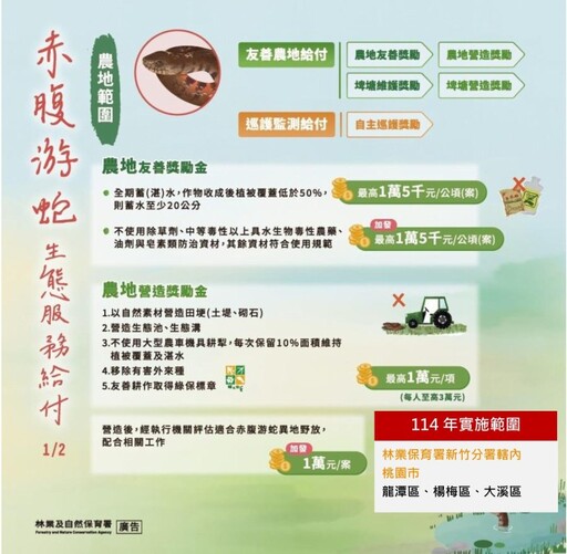 友善農業助赤腹游蛇復育 3/12楊梅區說明會公開解說