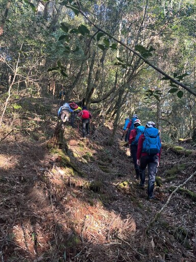 3女1男登山迷途 桃消巴陵分隊靠這招火速尋人