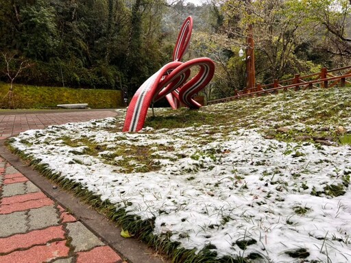 強烈大陸冷氣團來襲 桃園拉拉山降3月雪