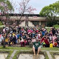 八德幼兒園推廣環境教育 學童親手插秧培養永續概念