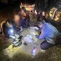 雷霆除暴專案全面啟動中 平警強力執法逮143犯嫌