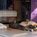 傻眼！他心情不好竟燒街友棉被 公園溜滑梯、地墊被波及